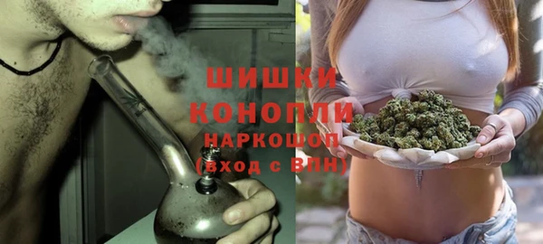 сатива Покров
