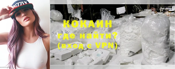 соль ск Алексин