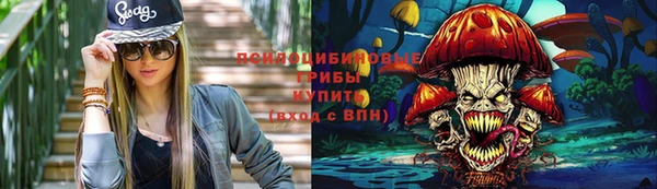 круглые Алексеевка