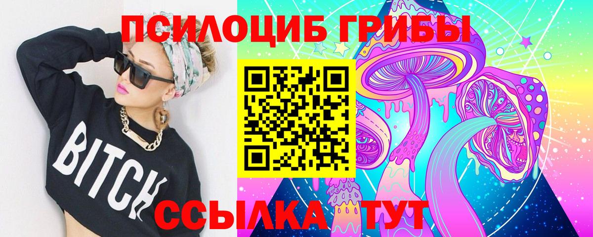 Псилоцибиновые грибы Psilocybe Петровск