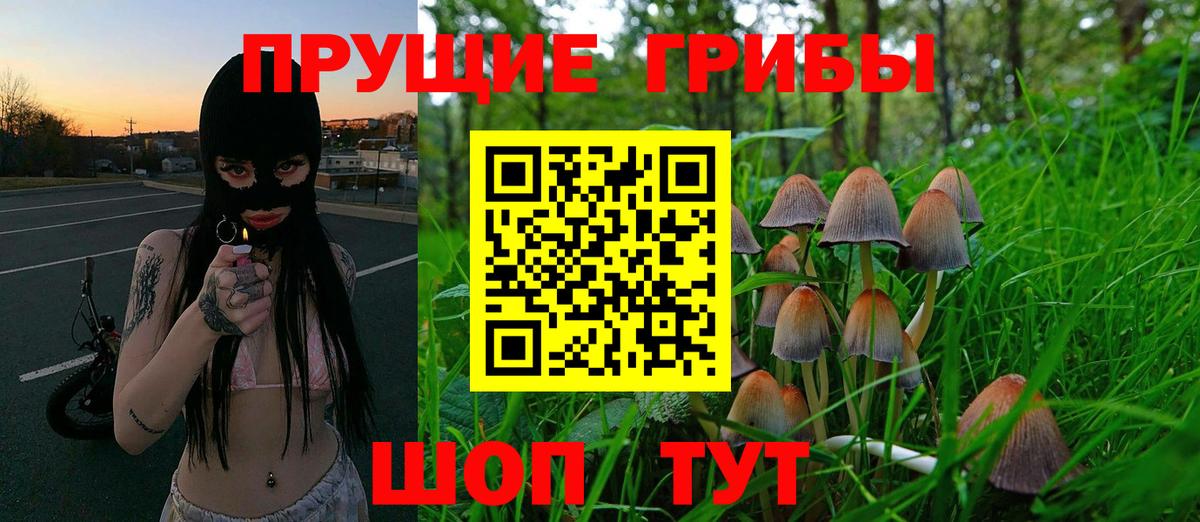 Псилоцибиновые грибы MAGIC MUSHROOMS  Вход с VPN  Петровск 